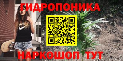 бошки Кимры