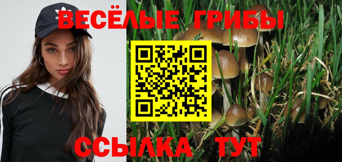 Галлюциногенные грибы Magic Shrooms  Вход с VPN  как найти   Корсаков  Галлюциногенные грибы прущие грибы 